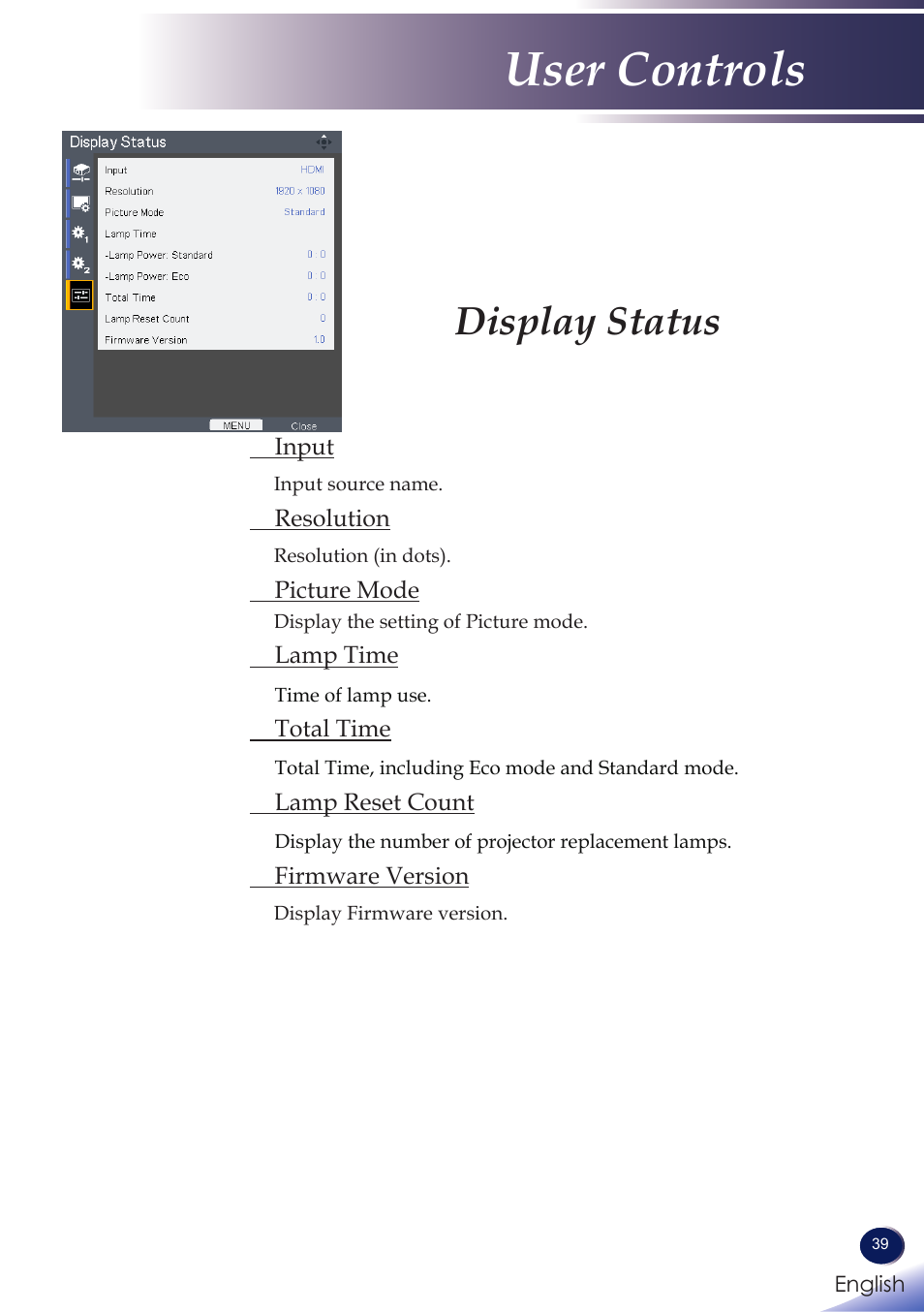 Display status, User controls | Ricoh PROJECTOR PJ S2130 User Manual | Page 40 / 54