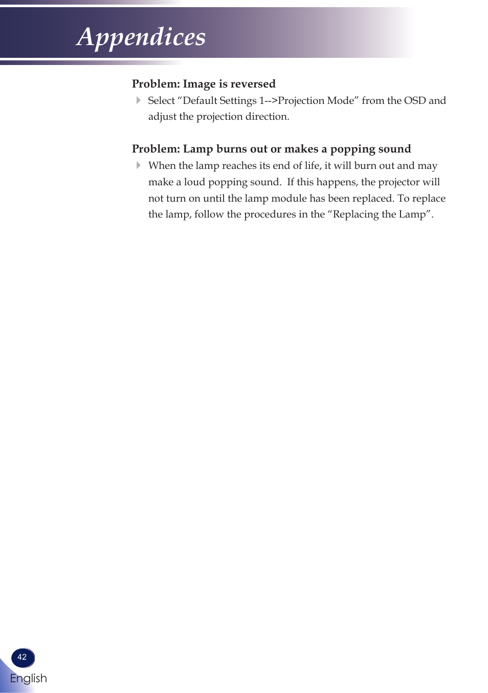 Appendices | Ricoh PROJECTOR PJ S2130 User Manual | Page 43 / 54