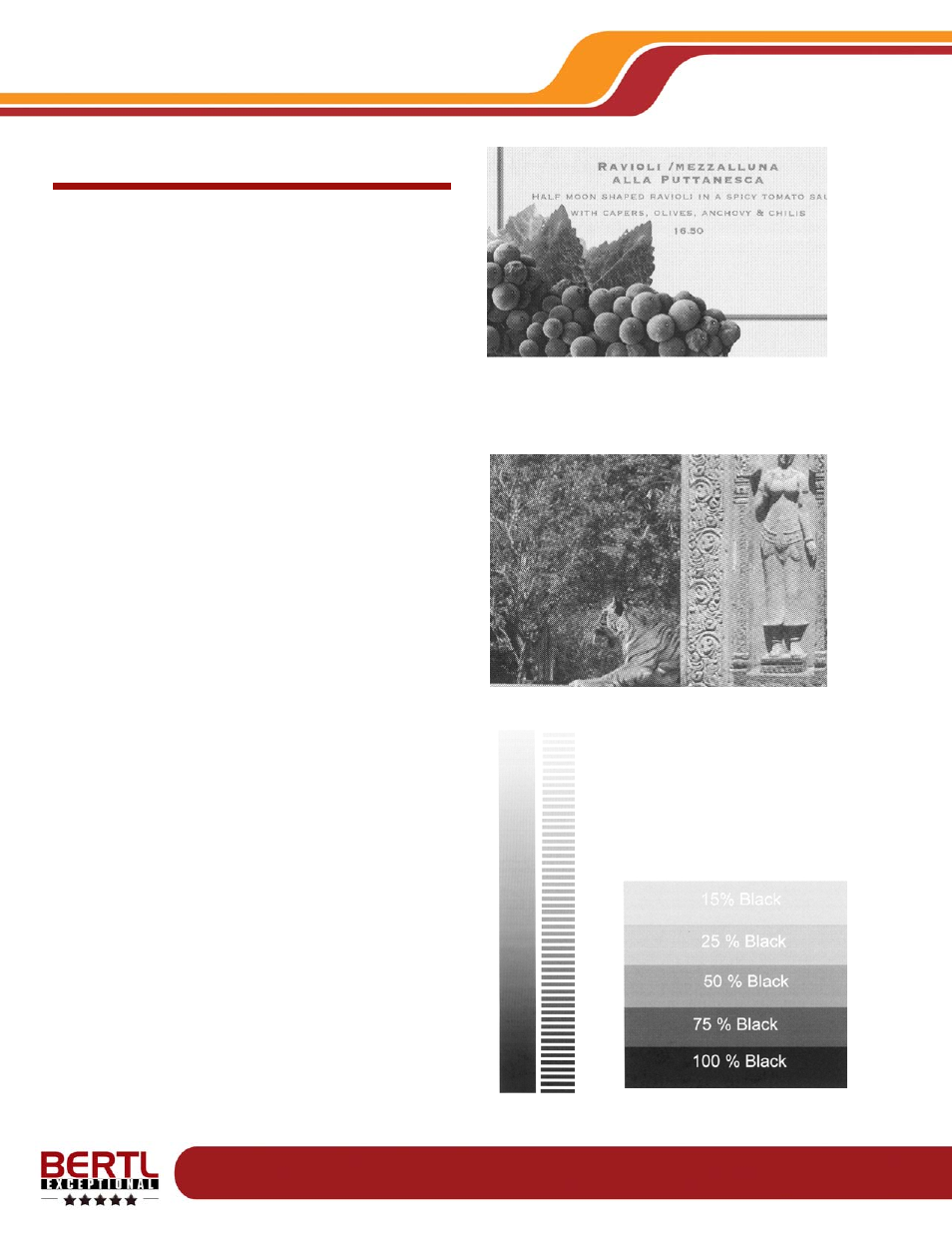 Image, Quality, Print | Ricoh aficio mp1350 | Ricoh MP1350 User Manual | Page 36 / 49