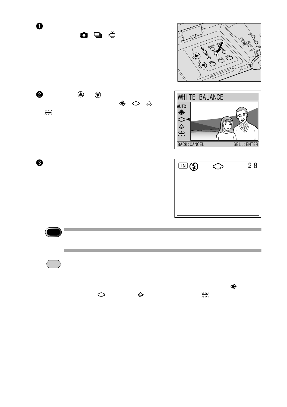 White balance | Ricoh RDC-7 User Manual | Page 60 / 128