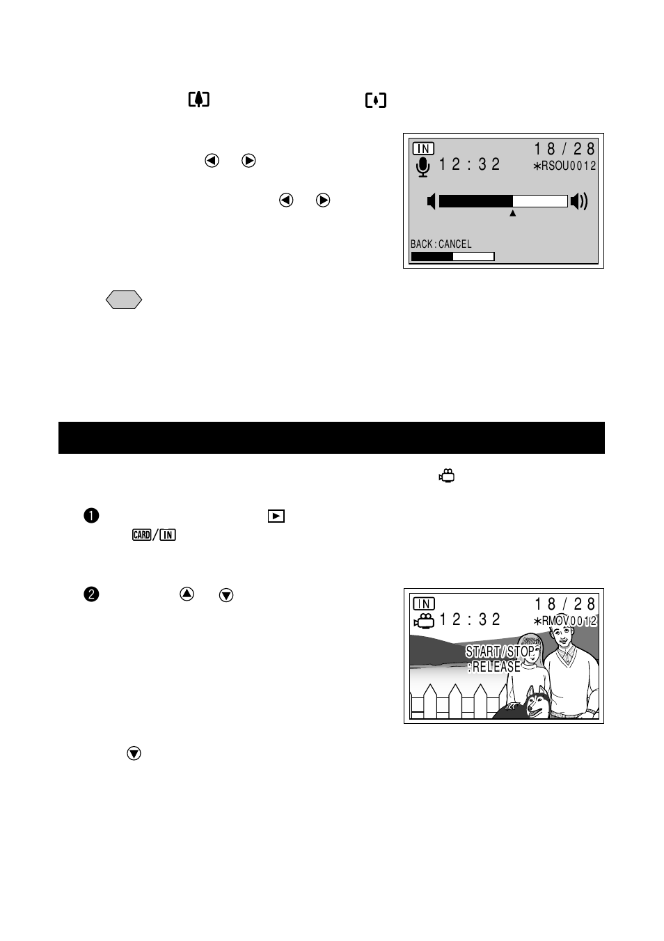 Playing a motion picture file | Ricoh RDC-7 User Manual | Page 80 / 128