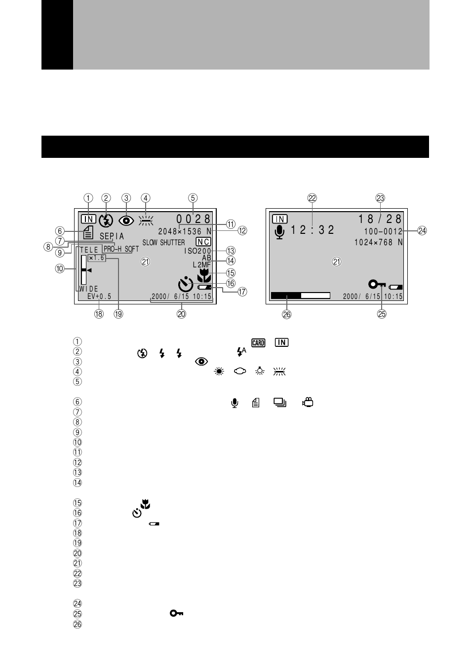 Explanation of information displays, Lcd monitor, Information displays | Ricoh RDC-7 User Manual | Page 9 / 128