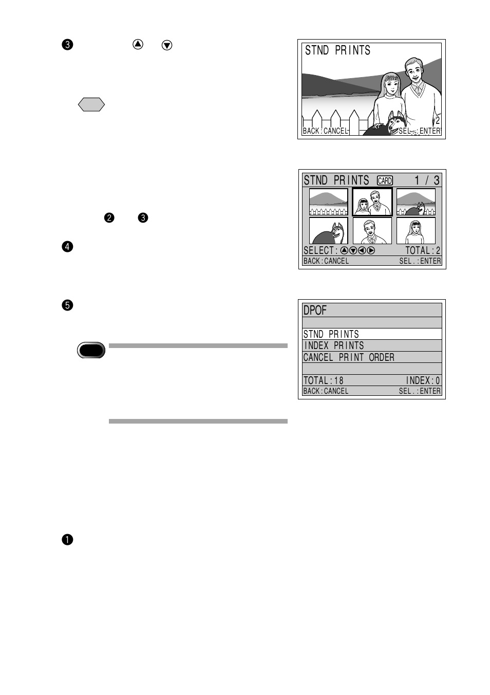 Specifying the number of index prints, Stnd prints, Dpof | Ricoh RDC-7 User Manual | Page 90 / 128