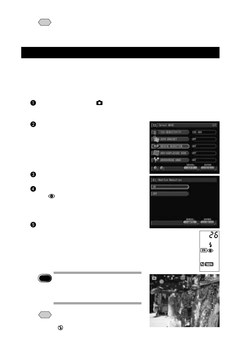 Redeye reduction mode | Ricoh Camera RDC-i700 User Manual | Page 76 / 155