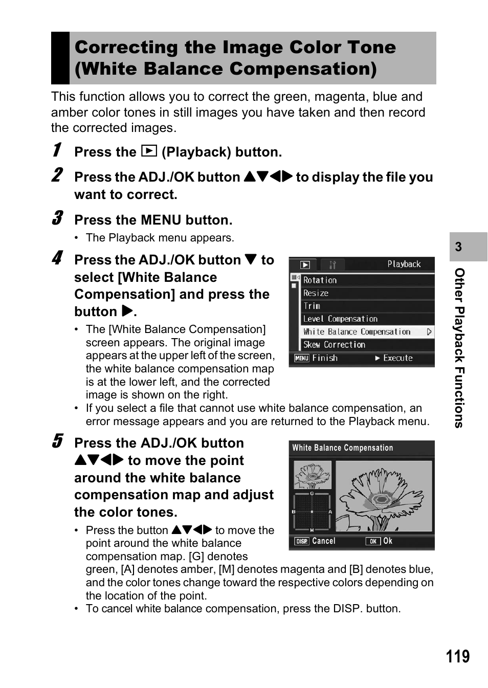 Ricoh R8 User Manual | Page 121 / 211