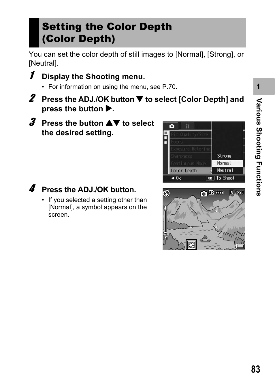 Setting the color depth (color depth) | Ricoh R8 User Manual | Page 85 / 211