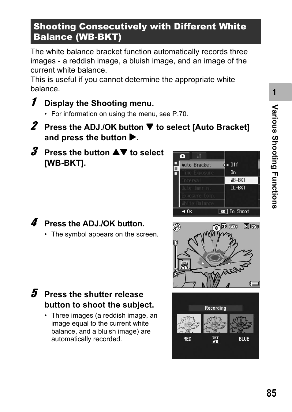 Ricoh R8 User Manual | Page 87 / 211