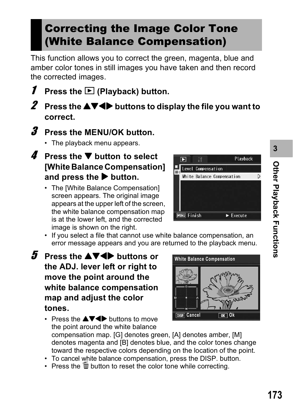 Ricoh GX200 User Manual | Page 175 / 266