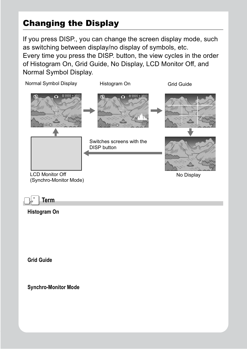 Changing the display | Ricoh R1v User Manual | Page 25 / 156