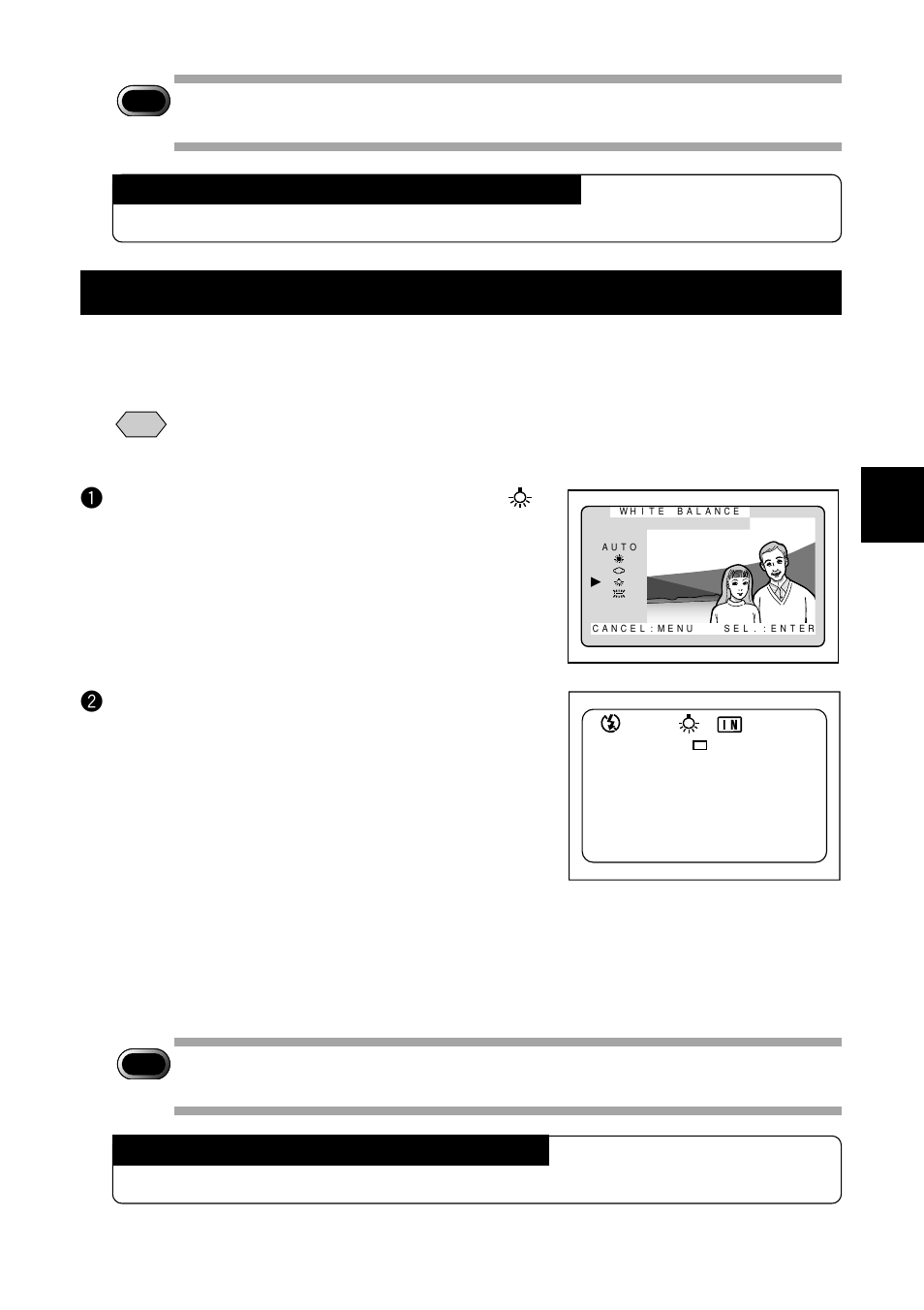 Tungsten light mode | Ricoh RDC-5000 User Manual | Page 67 / 132