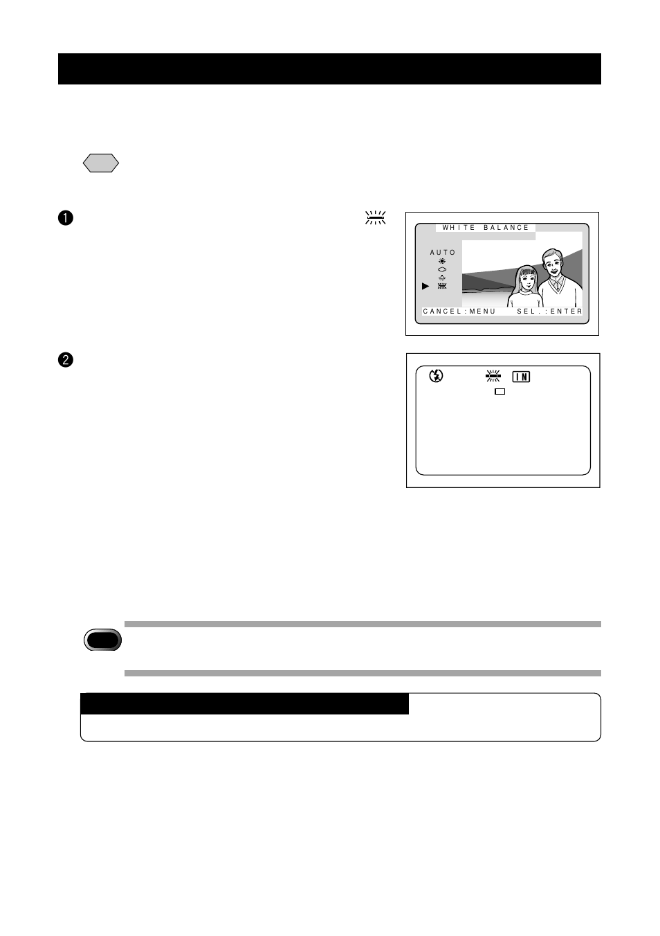 Fluorescent light mode | Ricoh RDC-5000 User Manual | Page 68 / 132