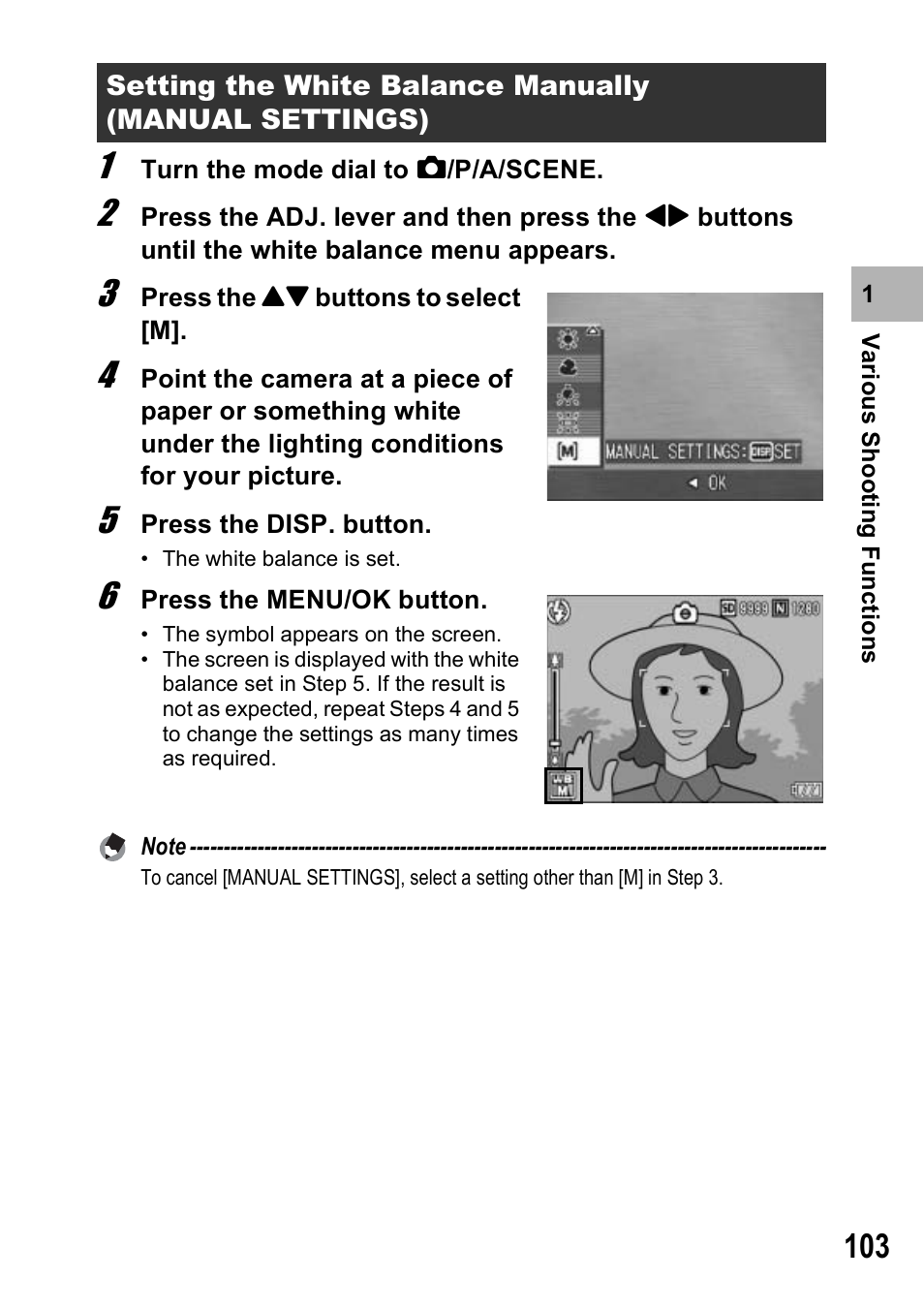 Ricoh GX100VF User Manual | Page 105 / 218