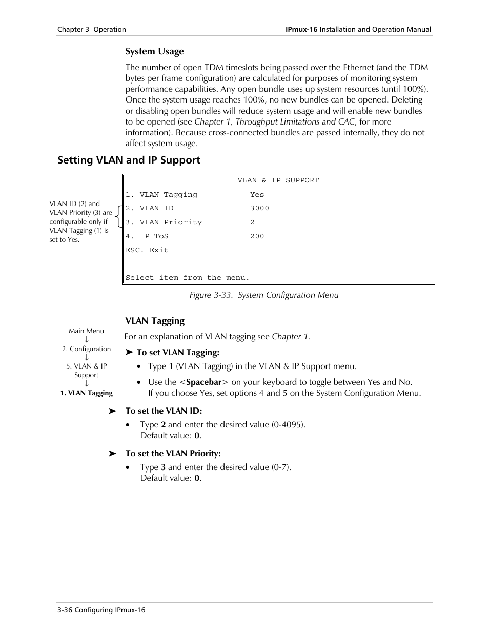 System usage, Setting vlan and ip support, Vlan tagging | RAD Data comm TDMoIP Gateway IPmux-16 User Manual | Page 68 / 99