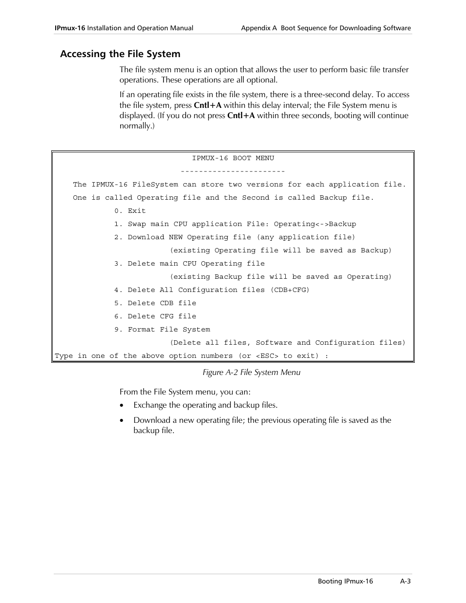 Accessing the file system | RAD Data comm TDMoIP Gateway IPmux-16 User Manual | Page 87 / 99