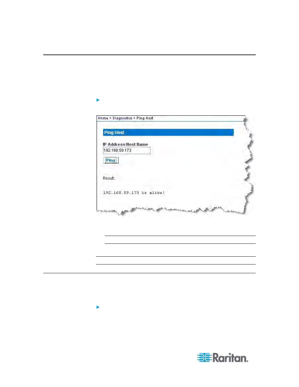 To ping the host, To trace the route to the host | Raritan Engineering KX2-864 User Manual | Page 215 / 321