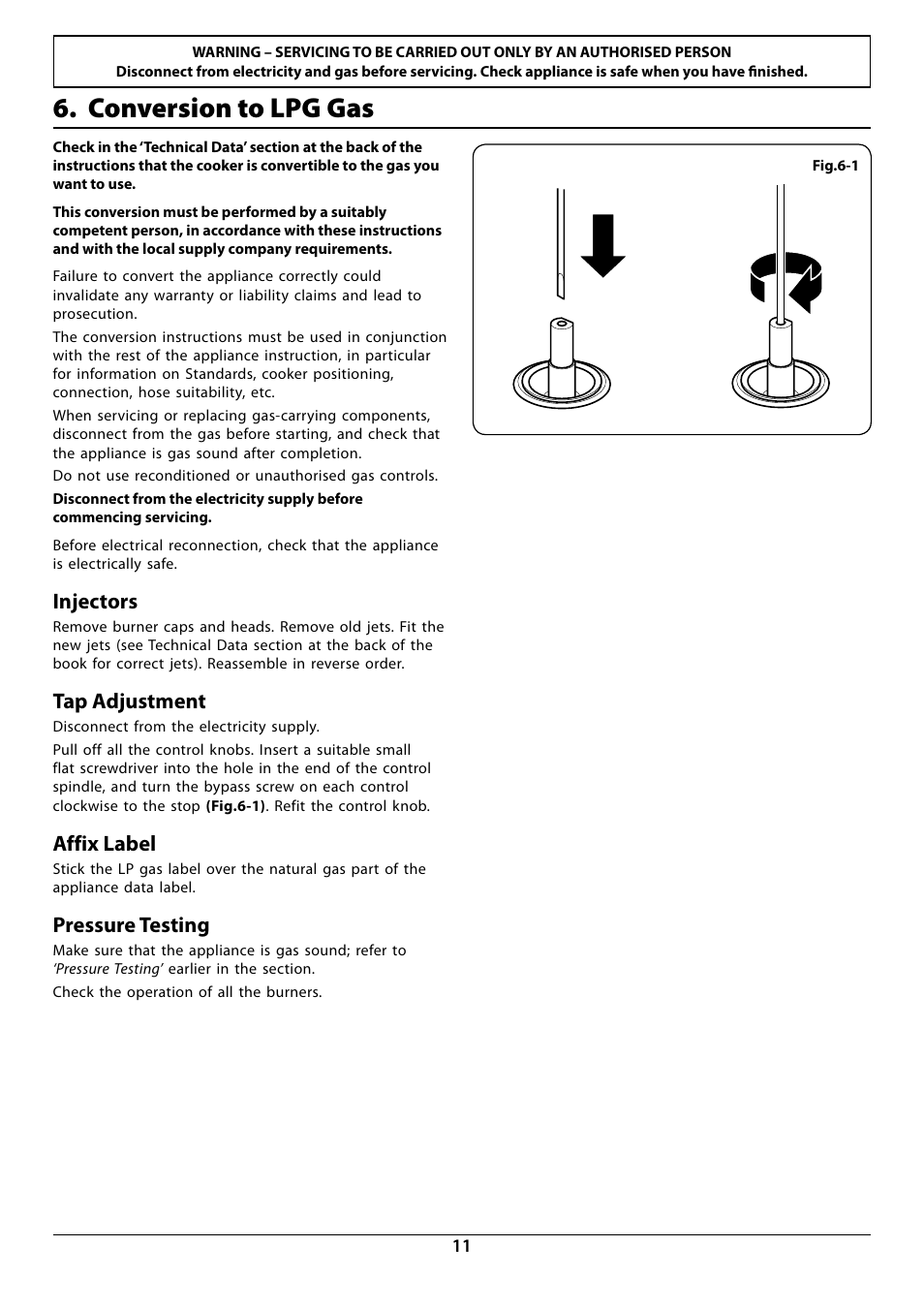 Conversion to lpg gas, Injectors, Tap adjustment | Affix label, Pressure testing | Rangemaster RG60 User Manual | Page 13 / 20