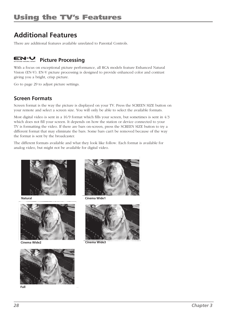 Using the tv’s features, Additional features, Picture processing | Screen formats | RCA L32WD26D User Manual | Page 28 / 44