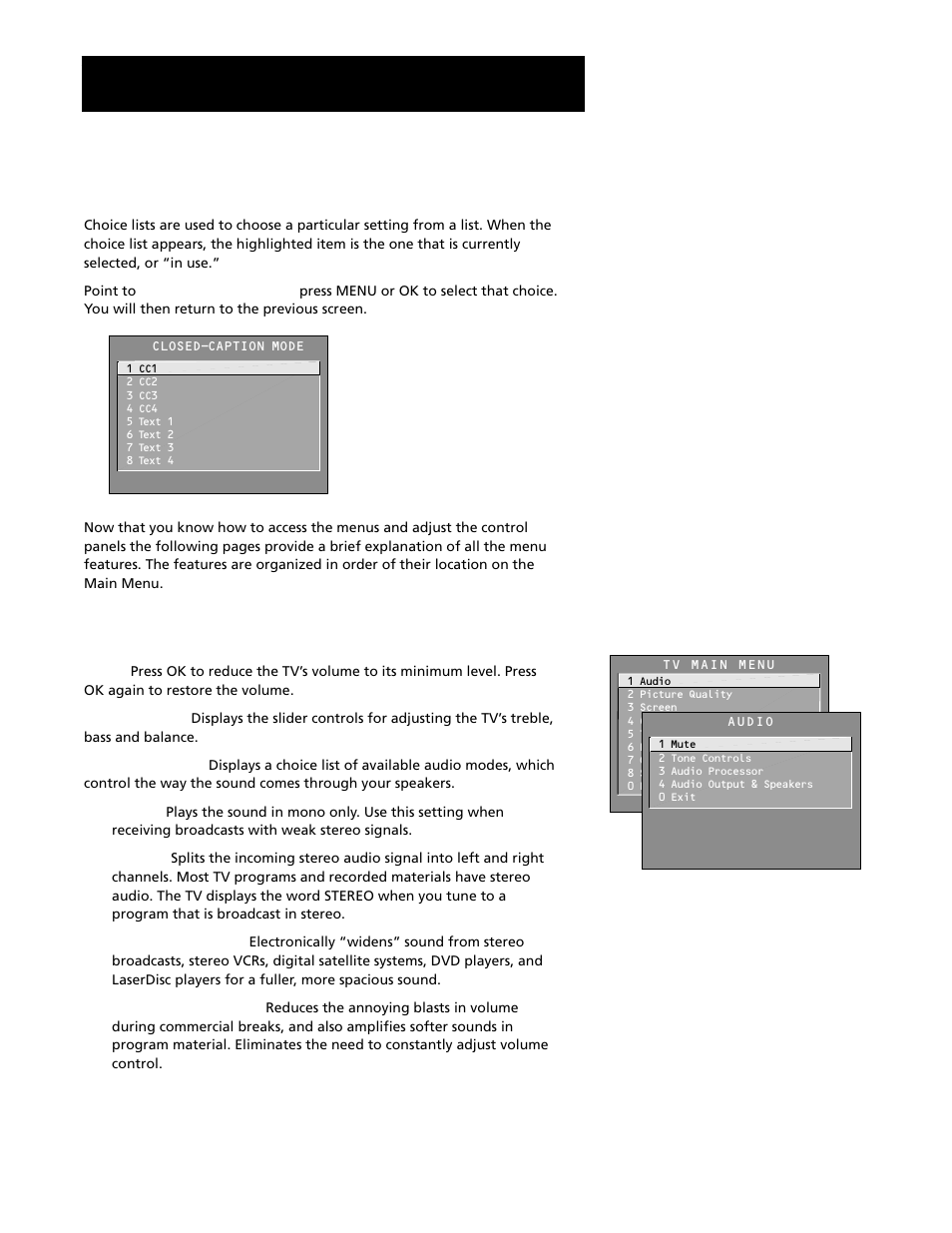 Audio menu, Using the menu system, Choice lists | RCA G27669 User Manual | Page 32 / 64