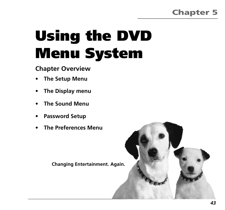 Using the dvd menu system, Chapter 5 | RCA RC5400P User Manual | Page 47 / 78