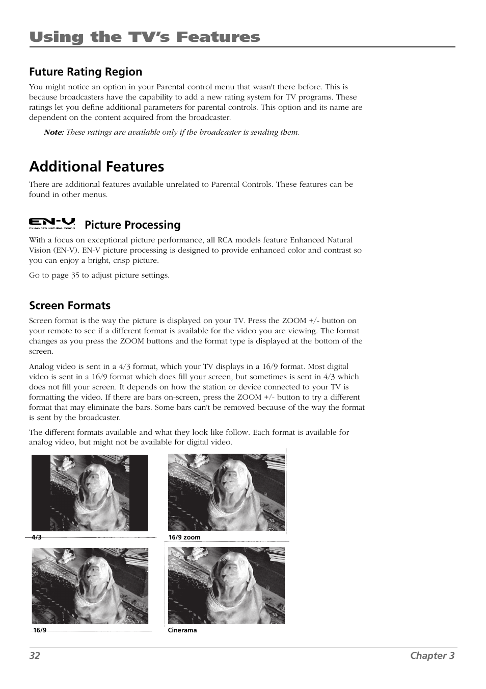 Using the tv’s features, Additional features, Future rating region | Picture processing, Screen formats | RCA L42FHD28 User Manual | Page 32 / 48