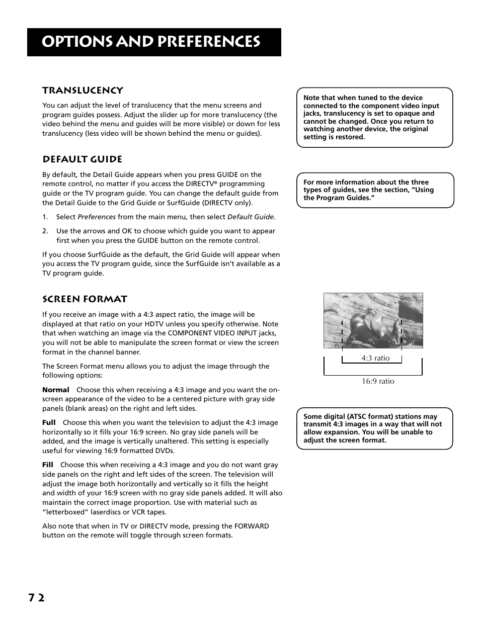Translucency, Default guide, Screen format | Options and preferences | RCA F38310 User Manual | Page 76 / 100