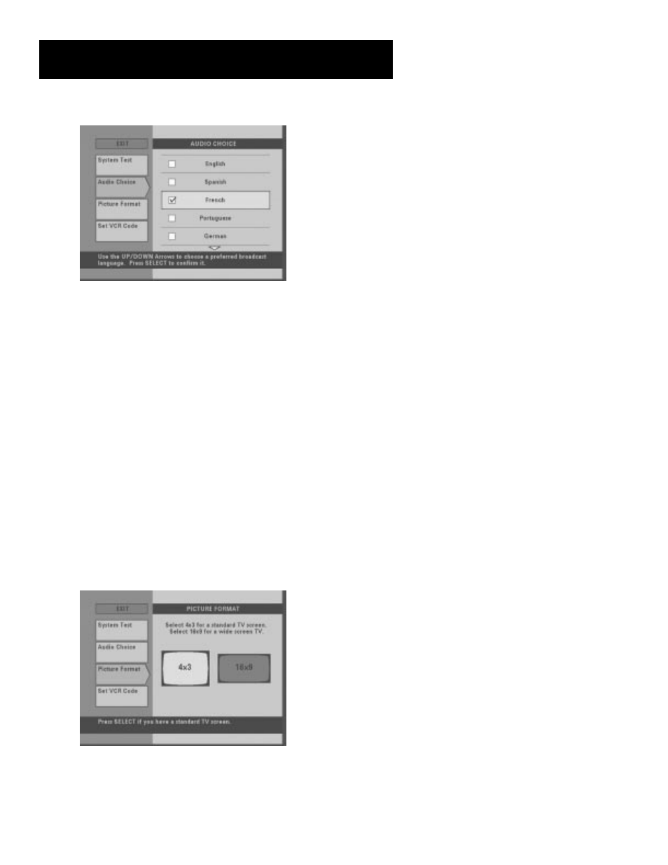Picture format, The menu system | RCA look 15377550 User Manual | Page 45 / 48