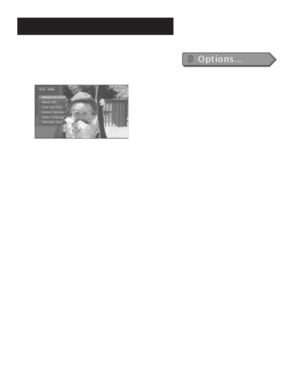 Options, The menu system, 43 options | RCA DRD202RA User Manual | Page 45 / 72