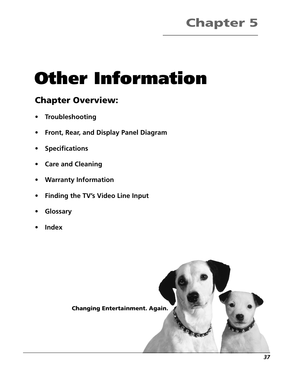 Other information, Chapter 5, Chapter overview | RCA VR355/VR545 User Manual | Page 39 / 56
