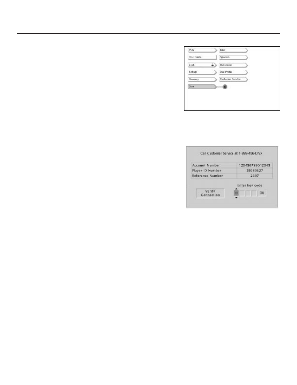How to get help (customer service), All about divx | RCA RC5231Z User Manual | Page 43 / 96