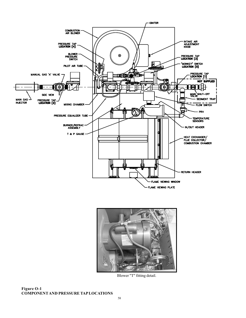 Raypak 750 User Manual | Page 58 / 74