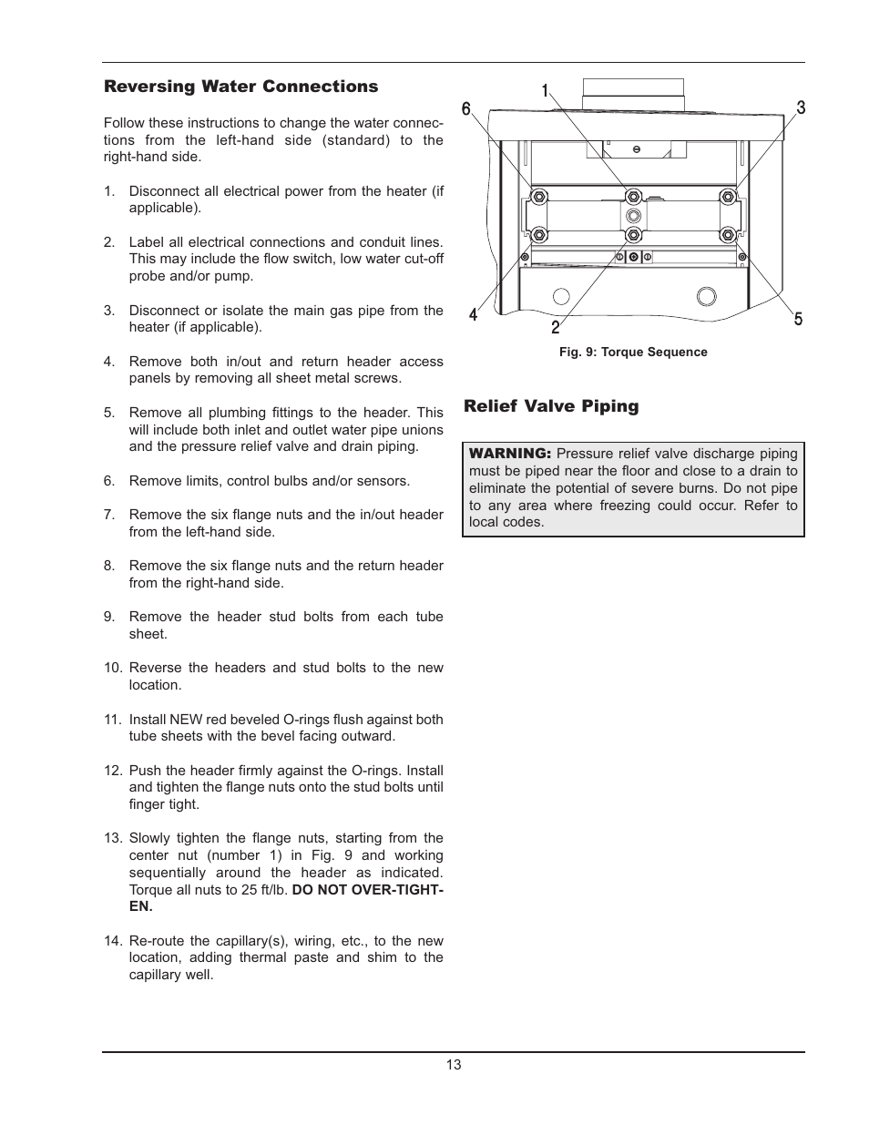 Raypak HI DELTA HD101 User Manual | Page 13 / 48