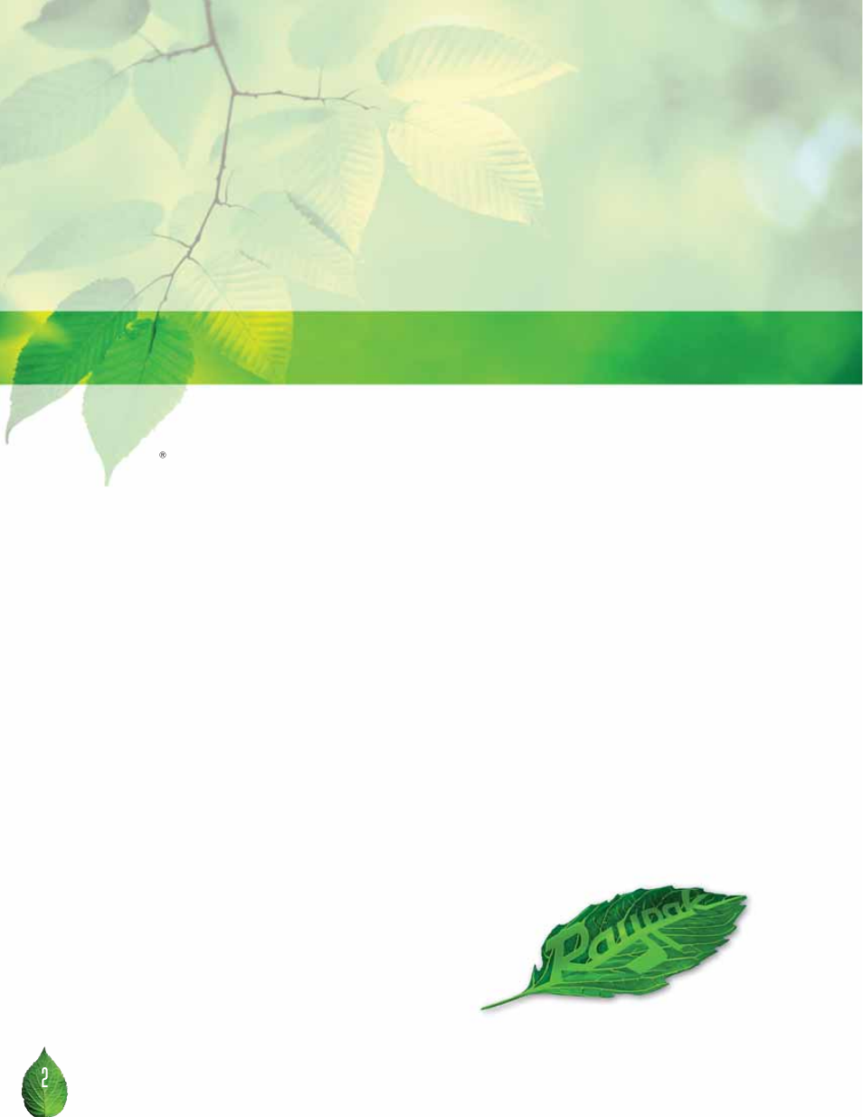 Treme performance, Up to, Thermal efficiency | Think raypak think green | Raypak 1505 User Manual | Page 2 / 8