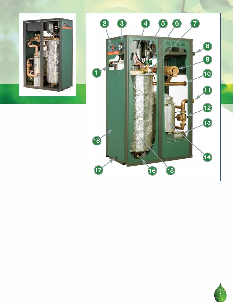 Raypak 1505 User Manual | Page 3 / 8