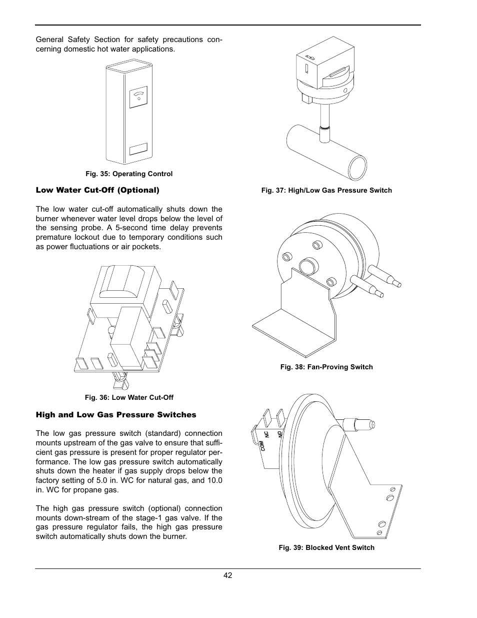Raypak WH & P L W User Manual | Page 42 / 64