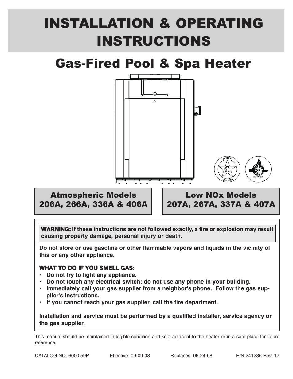Raypak 336A User Manual | 55 pages
