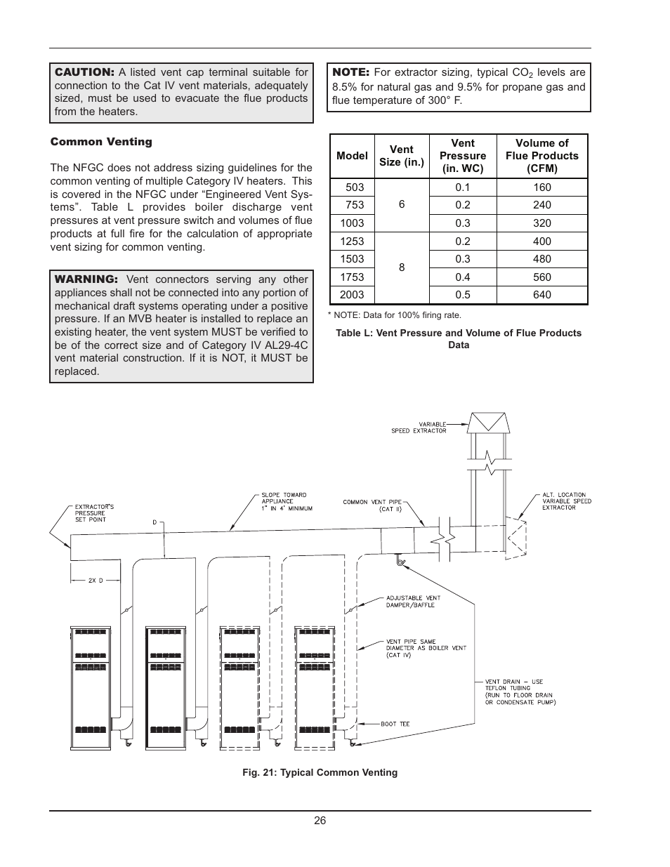 Raypak 503-2003 User Manual | Page 26 / 60