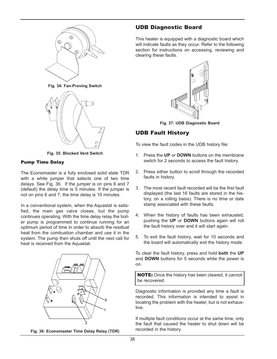 Raypak HI DELTA 302B User Manual | Page 38 / 60