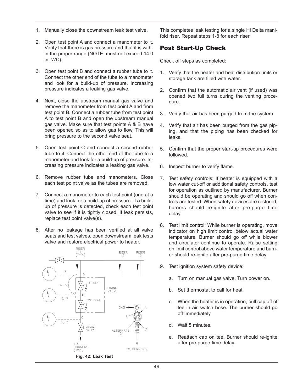 Raypak HI DELTA 302B User Manual | Page 49 / 60