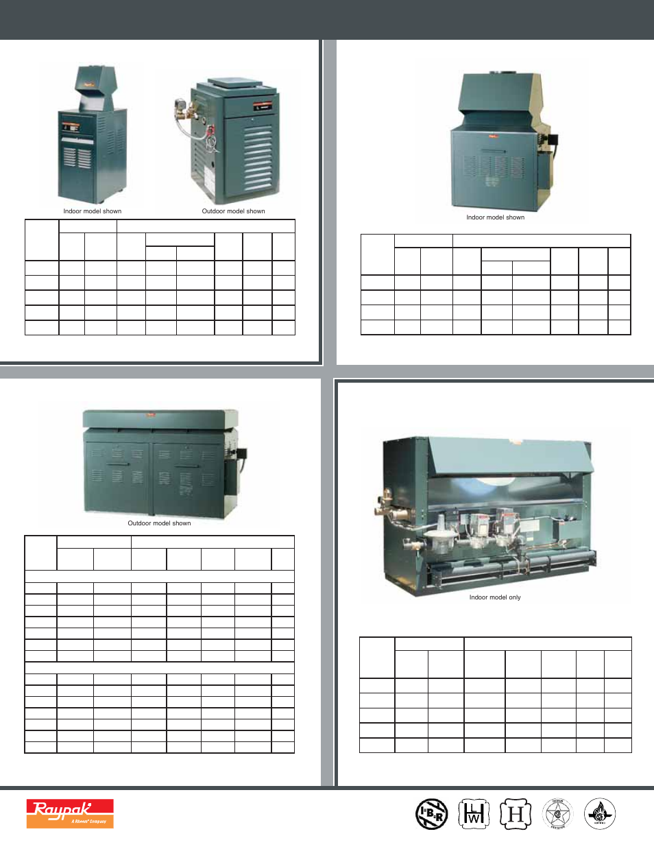 Model information | Raypak RayTherm Commercial Boilers And Water Heater User Manual | Page 4 / 4