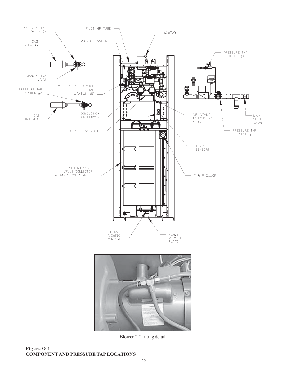 Raypak 1501 User Manual | Page 58 / 76