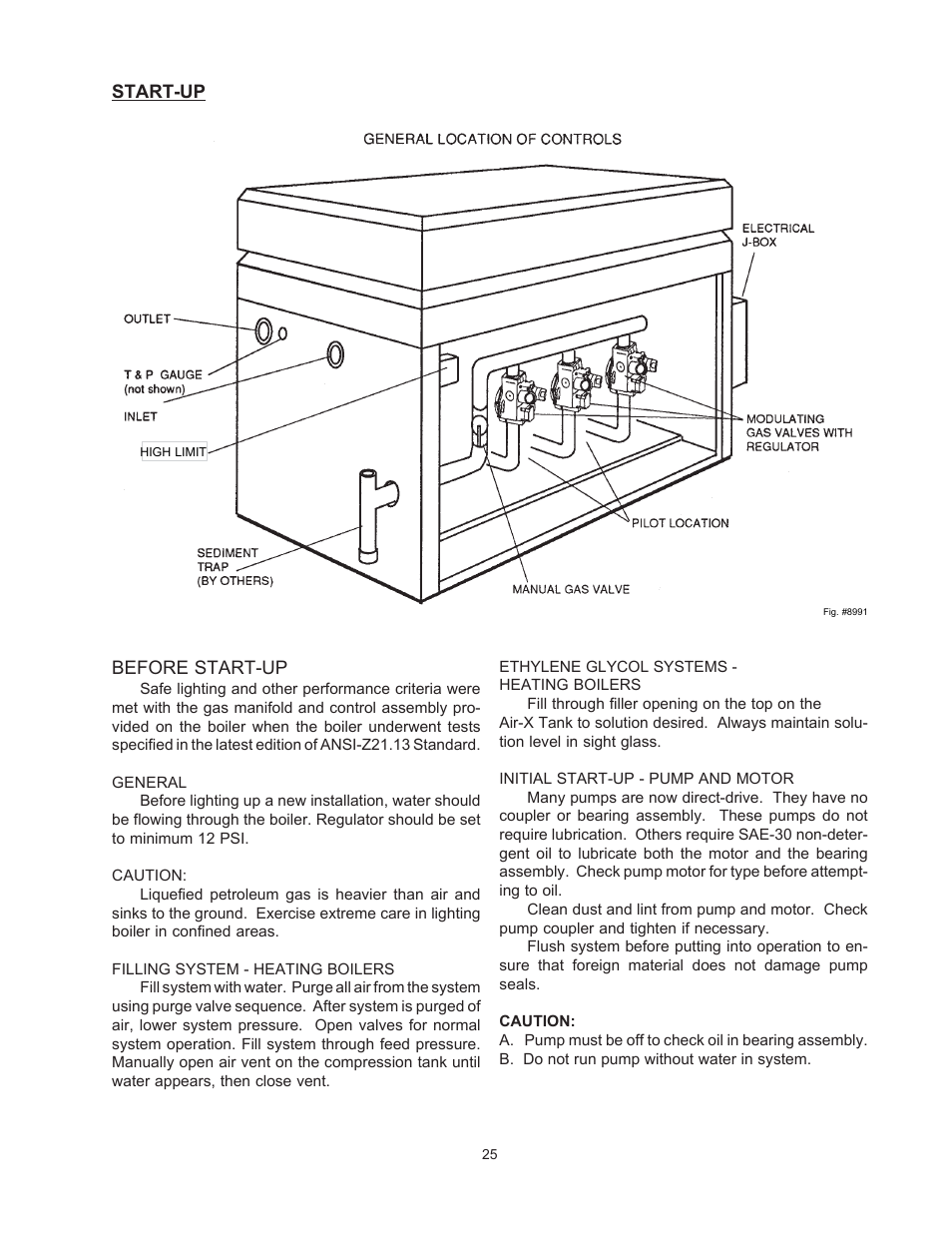 Raypak RAYTHERM 0133-4001 User Manual | Page 25 / 41