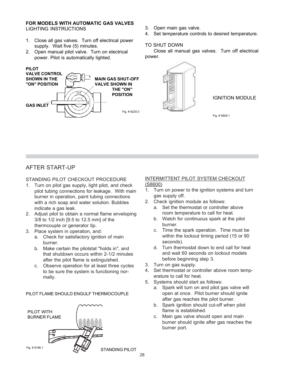 After start-up | Raypak RAYTHERM 0133-4001 User Manual | Page 28 / 41
