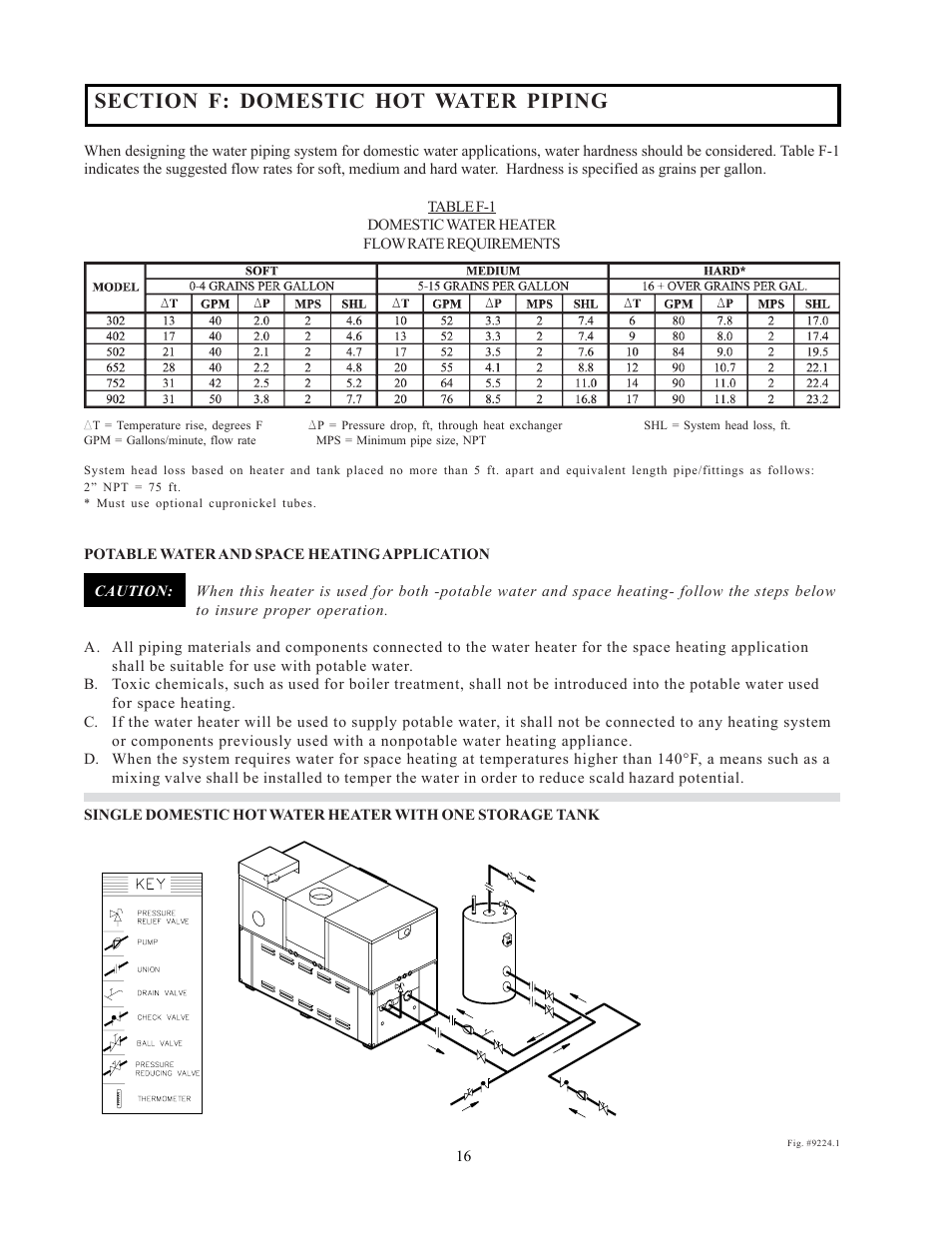 Raypak 302-902 User Manual | Page 16 / 65
