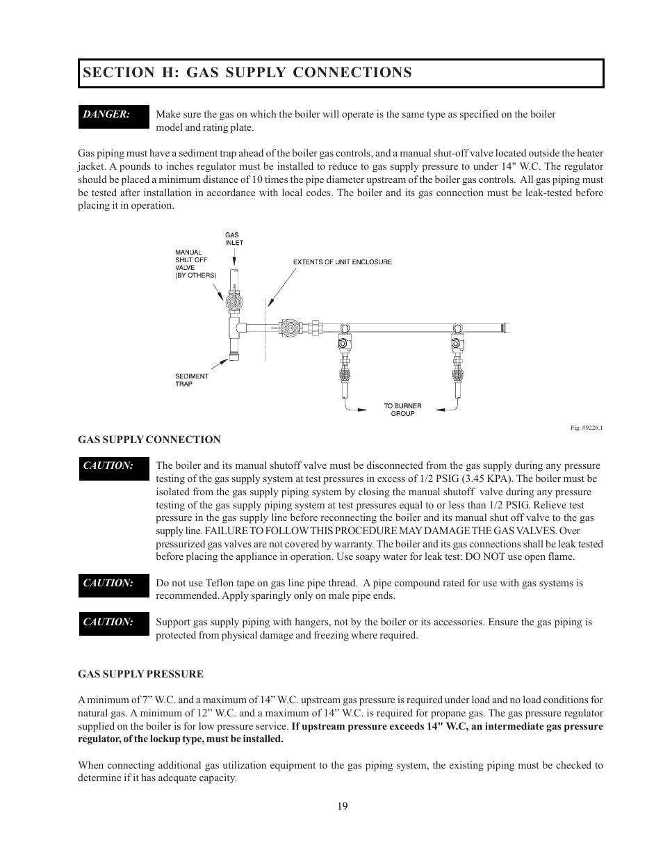 Raypak 302-902 User Manual | Page 19 / 65