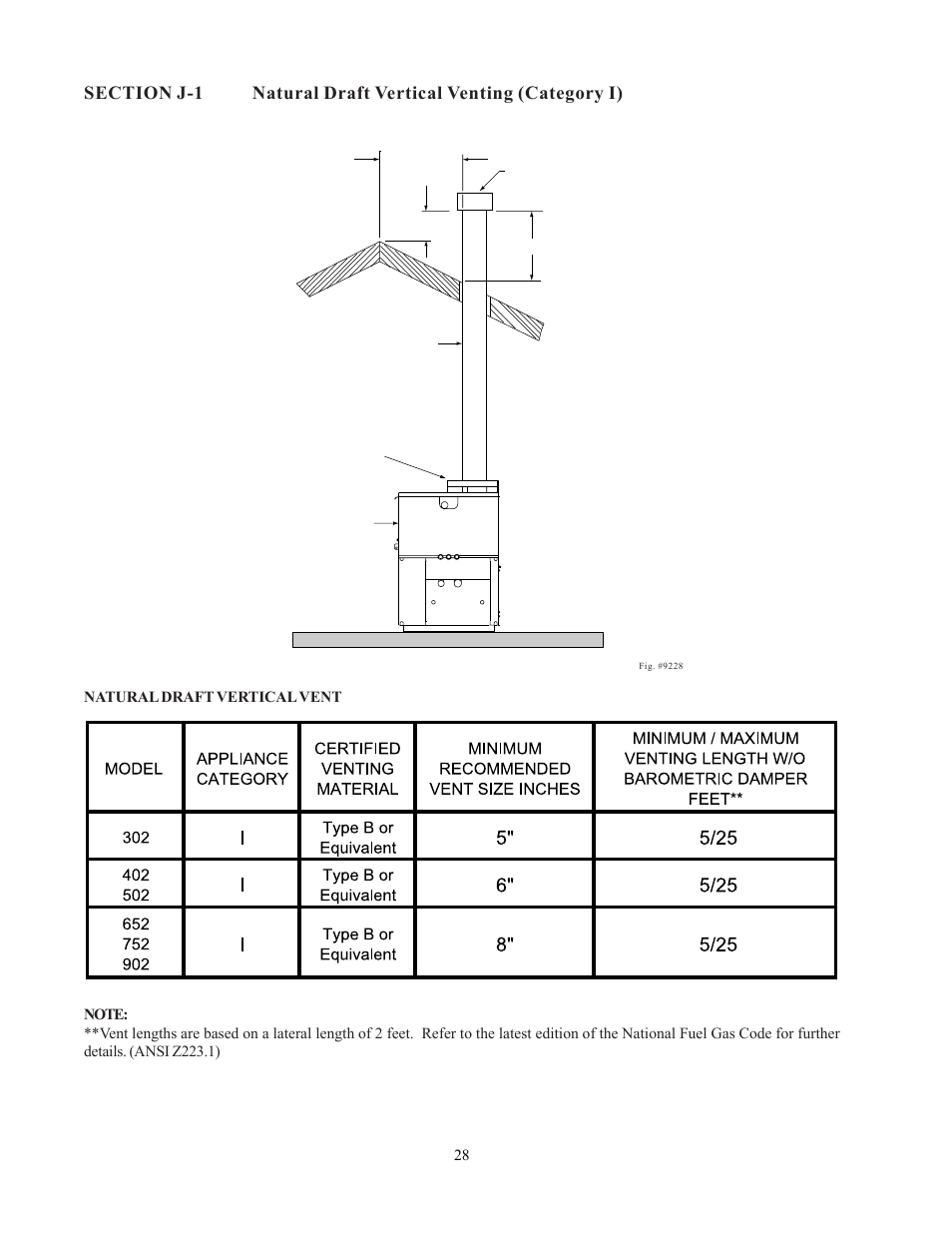 Raypak 302-902 User Manual | Page 28 / 65
