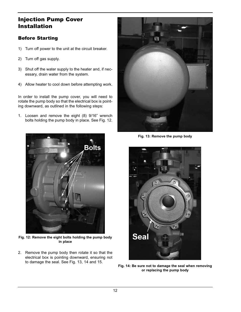 Injection pump cover installation | Raypak 241275 User Manual | Page 12 / 22