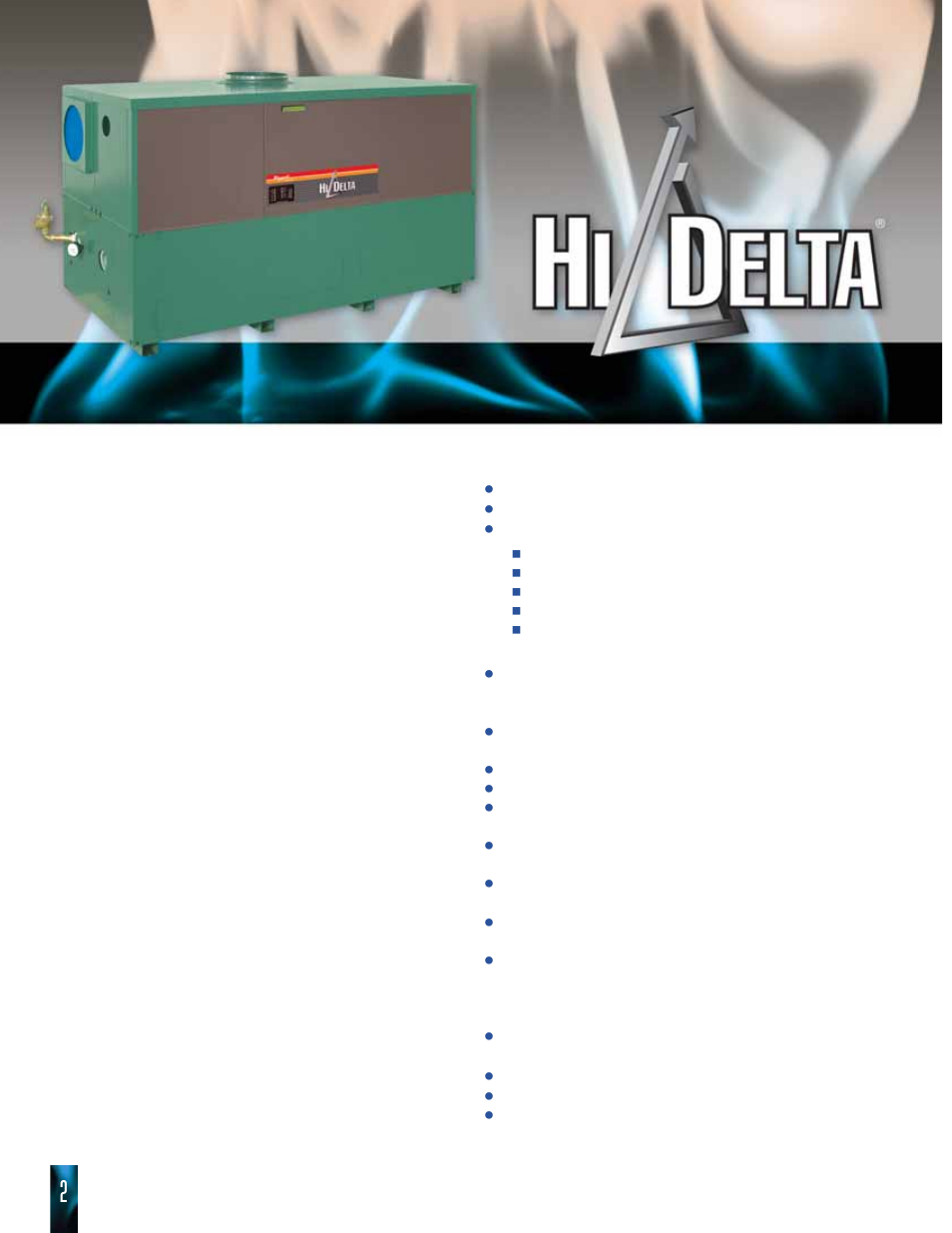 Up to, Thermal efficiency, Raypak’s hi delta | Key features, Options | Raypak HI DELTA HD101 THRU 2342B User Manual | Page 2 / 10