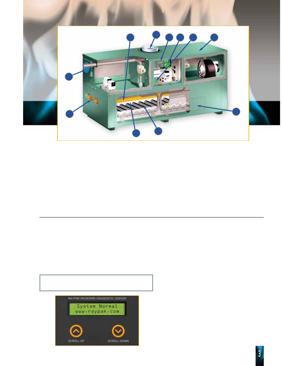 On-board diagnostic center, Diagnostic information | Raypak HI DELTA HD101 THRU 2342B User Manual | Page 3 / 10