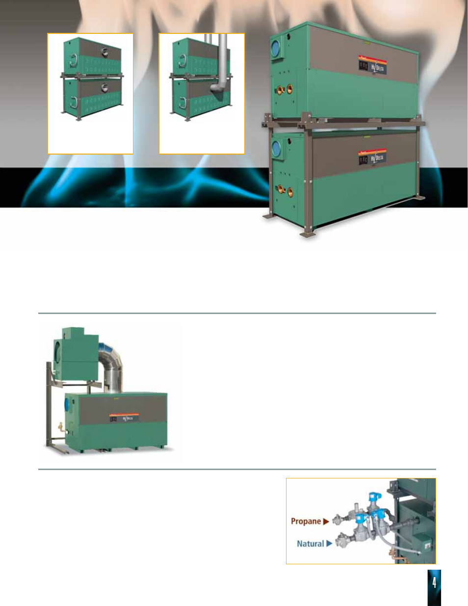 Options, Flex gas, Dual-fuel boilers and water heaters | Surerack | Raypak HI DELTA HD101 THRU 2342B User Manual | Page 4 / 10