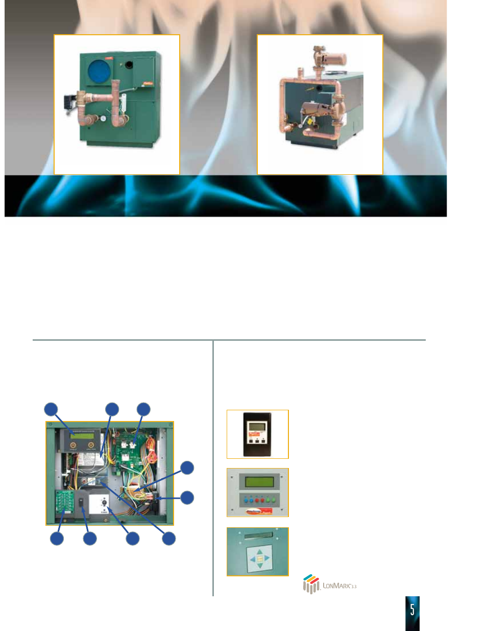 Cold water solution options, Simple serviceability, Cold water start | Cold water run, Cold water start cold water run, Control options, Temptracker, Raytemp, Y-200 boiler sequencer | Raypak HI DELTA HD101 THRU 2342B User Manual | Page 5 / 10